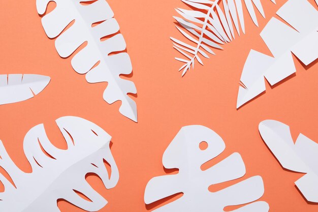 Paper white tropical leaves on a peach background