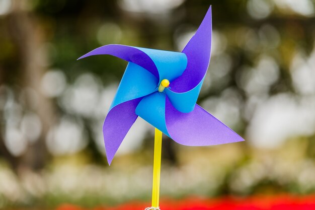 paper windmills in natural