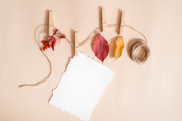 メモ用の紙。破れた紙のトレンド。秋は洗濯はさみで保持されている服のラインに葉します。エルダーベリーとメギ、果物と乾燥した葉。秋のカード、フラット横たわっていた、トップビュー。 copyspace。