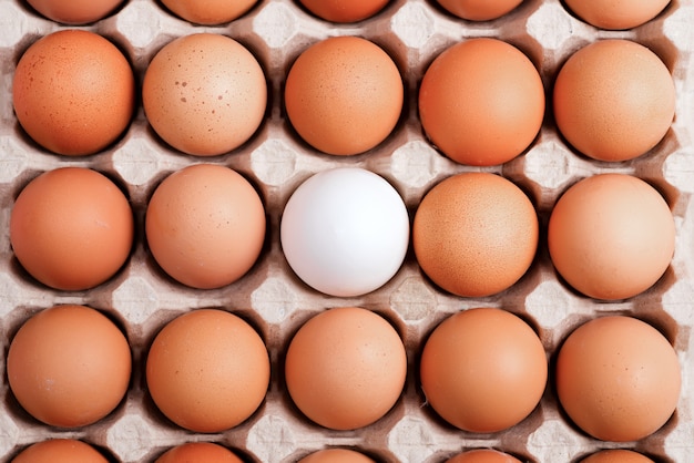 Papercraft container with natural farm eggs as natural food