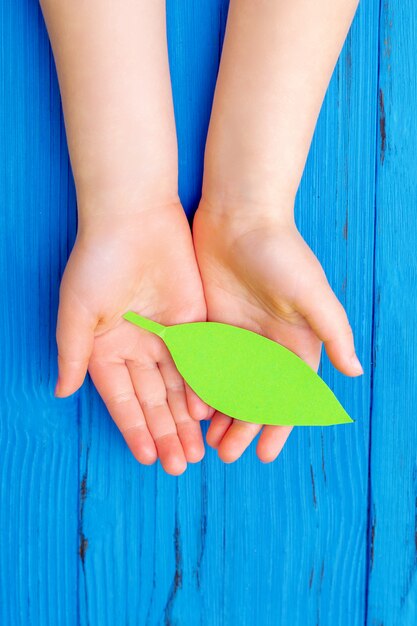 Papier groen blad in handen van kind