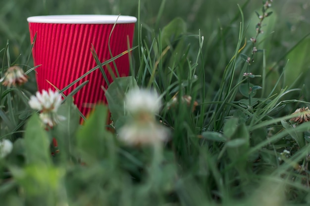 Papieren beker met koffie in het gras