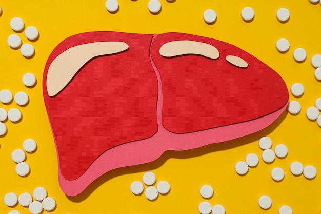 Papiermodel van lever en pillen op gele achtergrond bovenaan