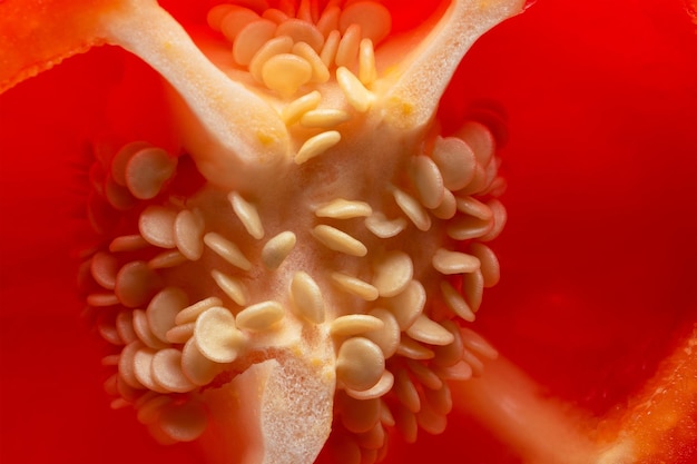 Paprika zaden close-up Een grote verse rode paprika wordt in tweeën gesneden en de zaden zijn zichtbaar Hoogwaardige foto