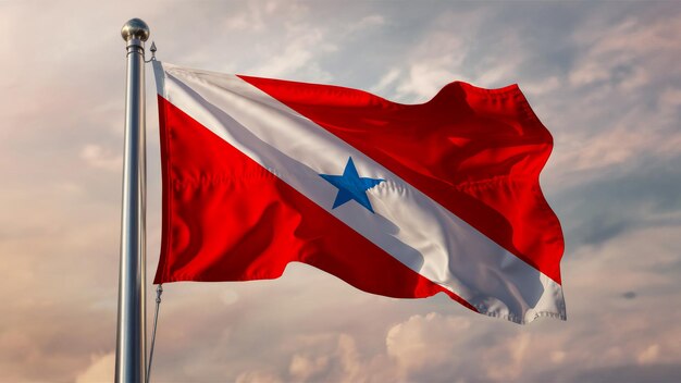 Para Waving Flag Against a Cloudy Sky