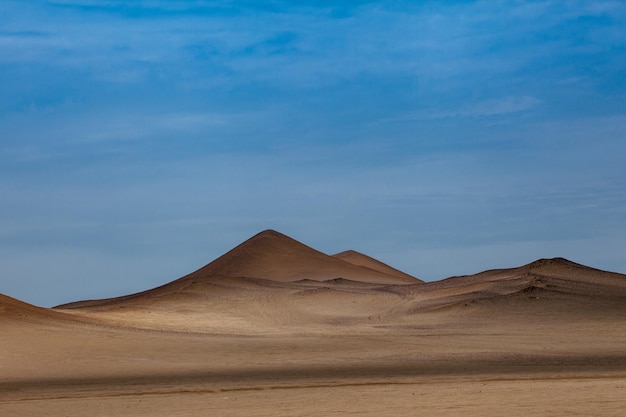 Riserva nazionale di paracas