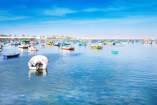 Paracas Peru