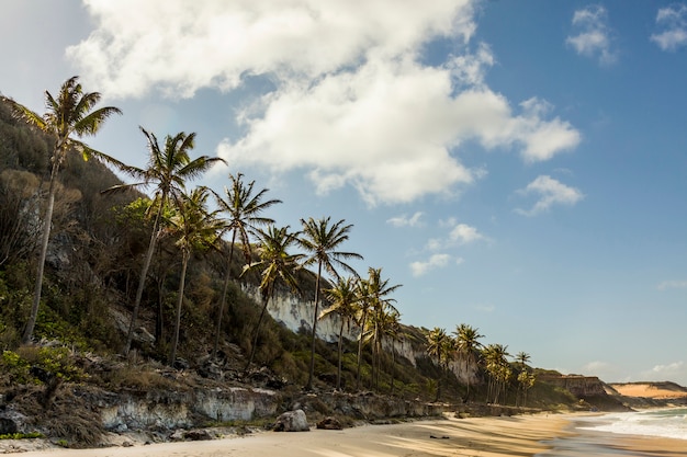 Paradijsstrand in pipa, rio grande do norte, brazilië.