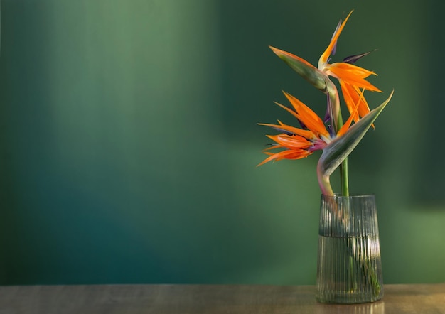 Paradijsvogel bloemen in vaas op groene achtergrond