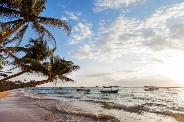 Paradijszonsondergang op de oceaan Sri Lanka December