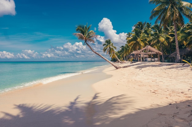 Foto la spiaggia paradisiaca dei caraibi