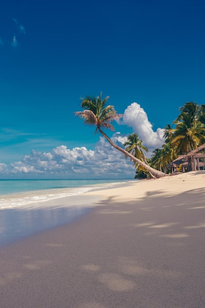 Foto la spiaggia paradisiaca dei caraibi