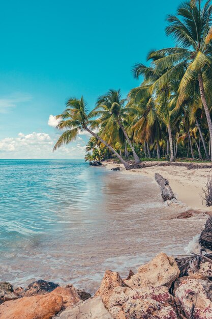 Foto la spiaggia paradisiaca dei caraibi