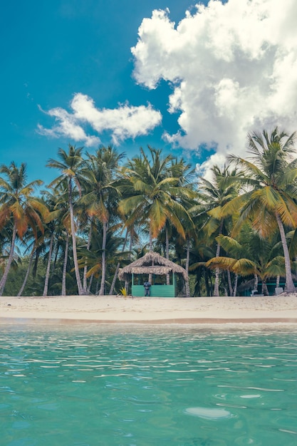 Foto la spiaggia paradisiaca dei caraibi