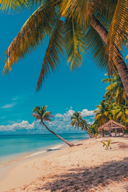 Foto la spiaggia paradisiaca dei caraibi