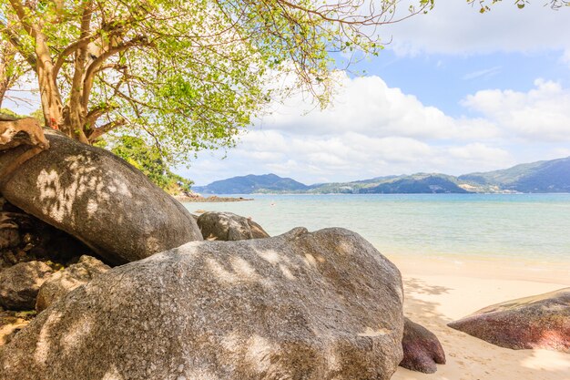 Paradise beach during a sunny day in Phuket, Thailand. 