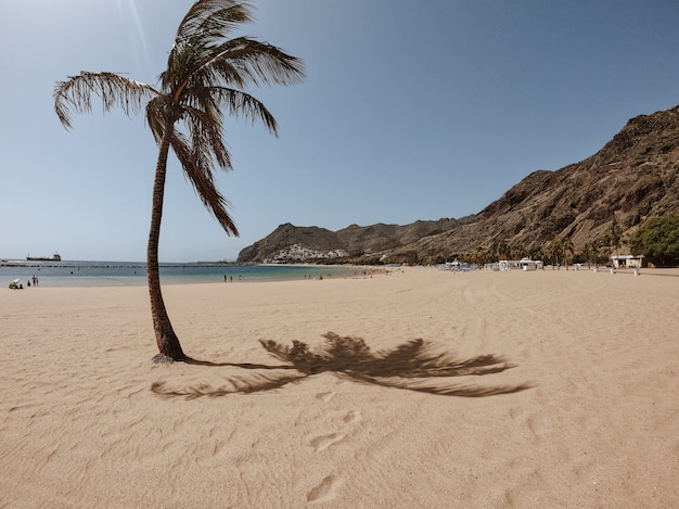 Paradise beach with palm tree on the left