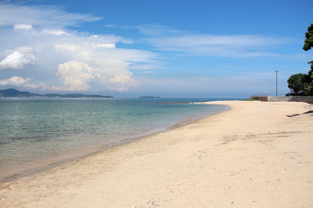 写真 白い砂浜と澄んだ水とパラダイスビーチ