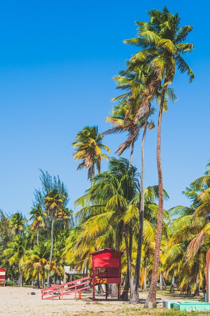 Paradise found red life guard hut and palm trees on tropical beach against blue sky luquillo beach