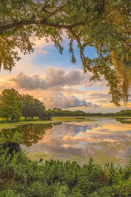 Paradise landscape beautiful beach forest ans mountain