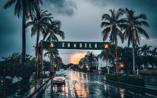 写真 パラダイスの雨の夜のシーン