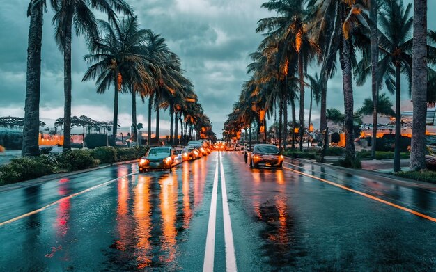 Paradise rainy night scene