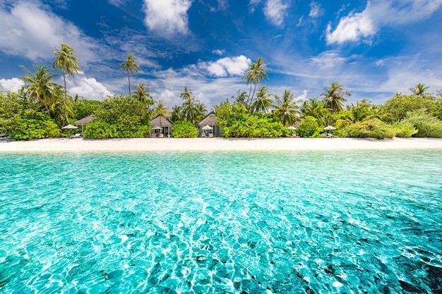 Фото Райский солнечный пляж с белым песком, кокосовыми пальмами и бирюзовым морем на тропическом острове. летний отпуск