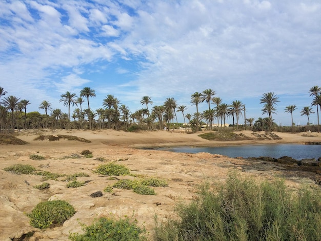 The paradise of Torrevieja in Lo Ferris