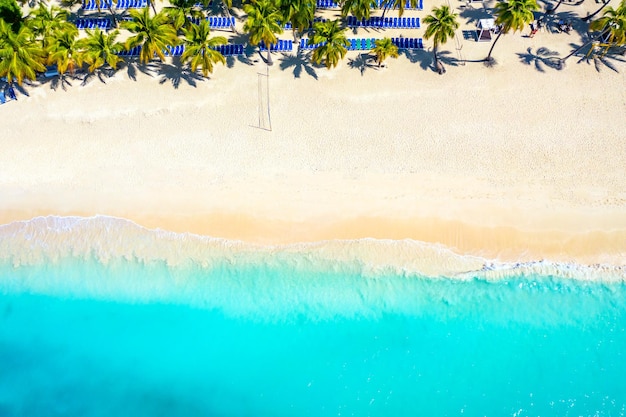 Paradise tropical island nature background. Top aerial drone view of beautiful beach with turquoise sea water and palm trees. Saona island, Dominican republic.