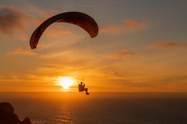 Paraglider flying over thesea shore at sunset. Paragliding sport