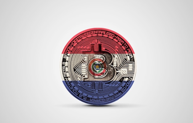 Paraguay flag on a bitcoin cryptocurrency coin d rendering