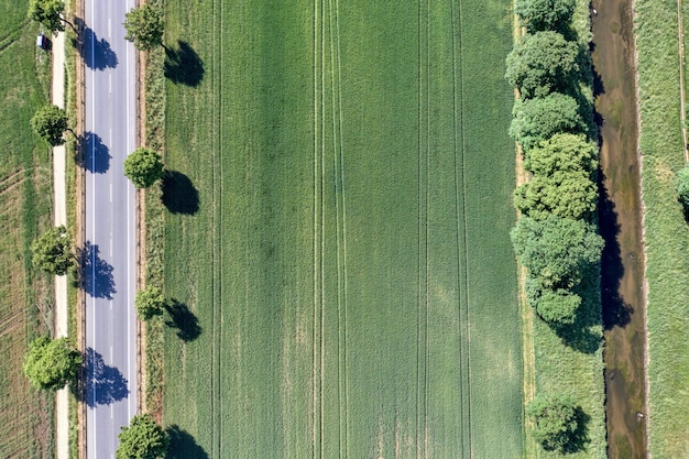 Фото Параллельная дорога и ручей с деревьями