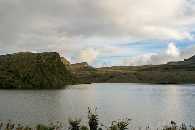 Paramo de Chingaza in Colombia frailejones espeletia grandiflora endemische bloemen van de paramo van Zuid-Amerika het meer van Siecha