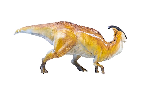 Фото parasaurolophus динозавр изолированный фон