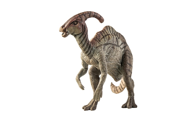 흰색 바탕에 Parasaurolophus 공룡입니다.