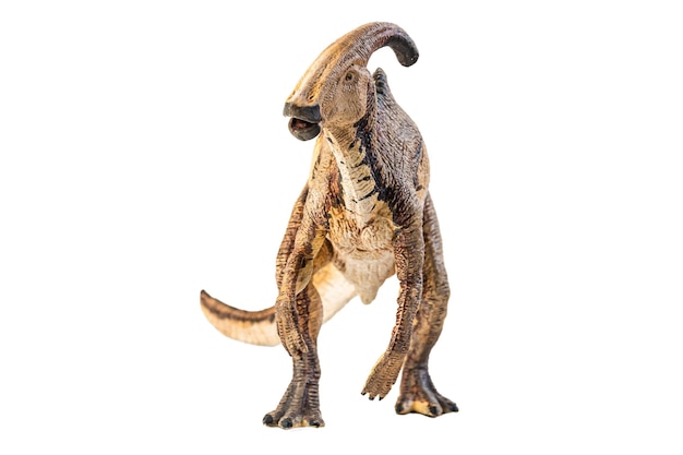 흰색 바탕에 Parasaurolophus 공룡