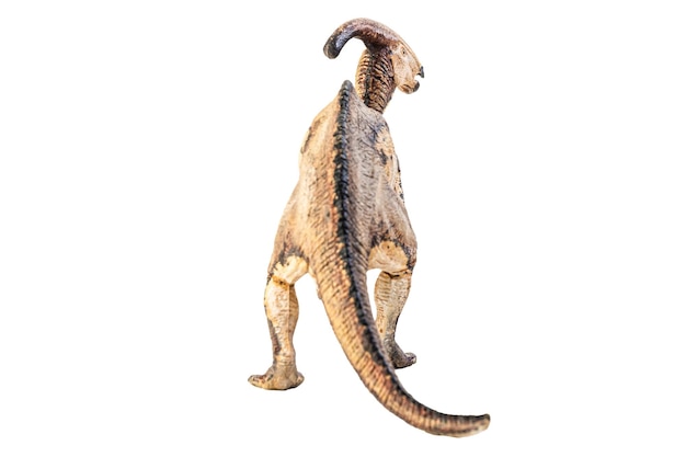 흰색 바탕에 Parasaurolophus 공룡