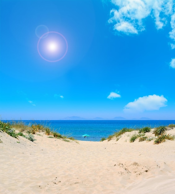 Parasol alleen op het strand onder een stralende zon