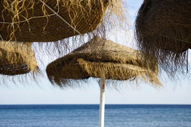 Foto ombrelloni sulla spiaggia