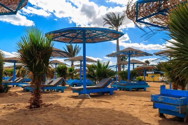 Parasols en ligstoelen op tropisch strand. Concept van rust, ontspanning, vakantie, resort