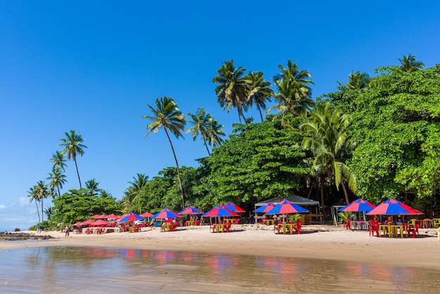 Parasols and native vegetation at carapibus beach conde paraiba brazil on april 25 2021