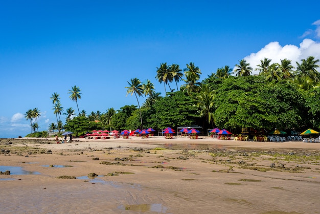 зонтики и естественная растительность на пляже Карапибус Конде Параиба Бразилия 25 апреля 2021 года