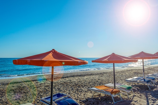 Parasols op het strand in de ochtend