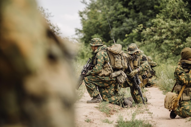 Paratrooper airborne infantry in the forest