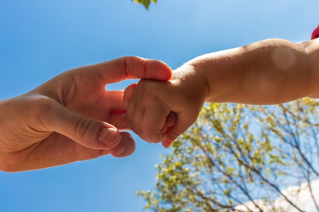 親が小さな子供の手を握っている子供が母親の手を握っている