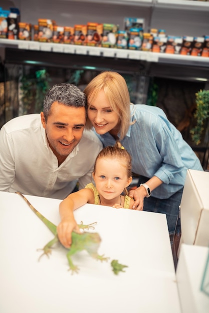 Parents feeling happy taking their girl to pet shop and touching iguana