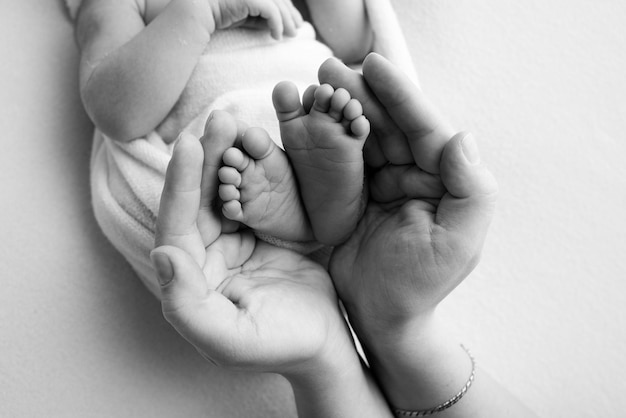 Parents39 palms Father and mother hold the legs of a newborn baby Feet of a newborn in the hands of parents Photo of the foot heels and toes Black and white studio macro shot