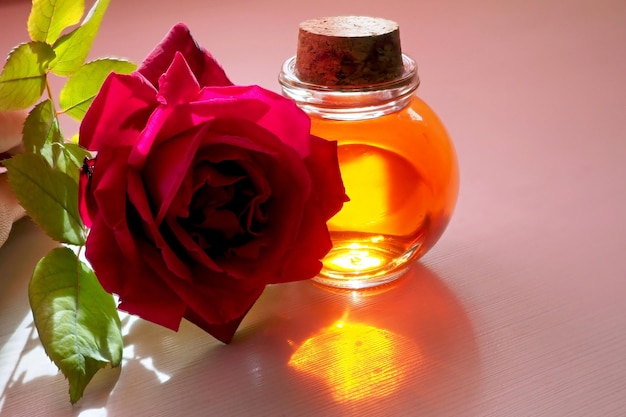 Parfumfles bloemenwater rozenwater en natuurlijke mooie rode roos met groene bladeren