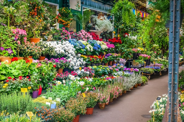 Парижский цветочный рынок