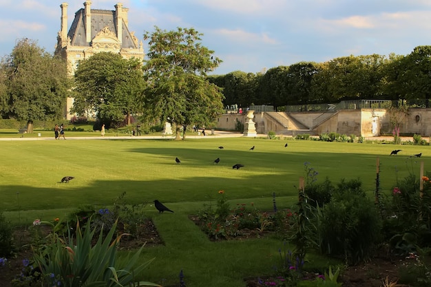 写真 パリ フランス 2019 年 8 月 26 日 チュイルリー公園またはチュイルリー庭園 パリ フランス